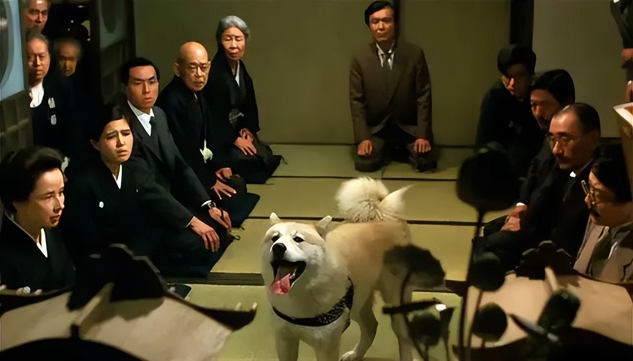 日版忠犬八公几个版本 (日本忠犬八公物语电影完整版)