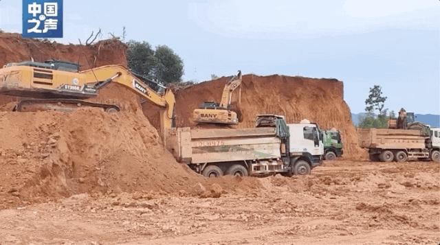 江西无证砍伐生态林,一地为建产业园砍伐林地