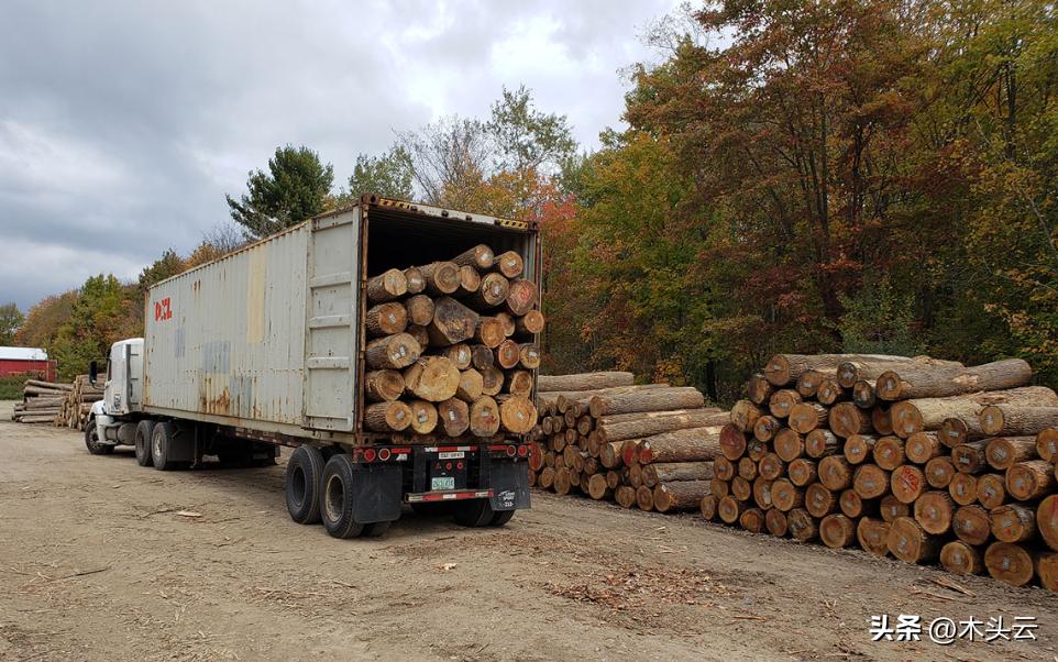 韩国进口粮食总量,韩国木材外贸订单