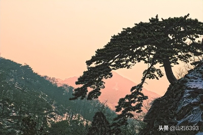 「战友美文」于天松：《泰山松》（诗）