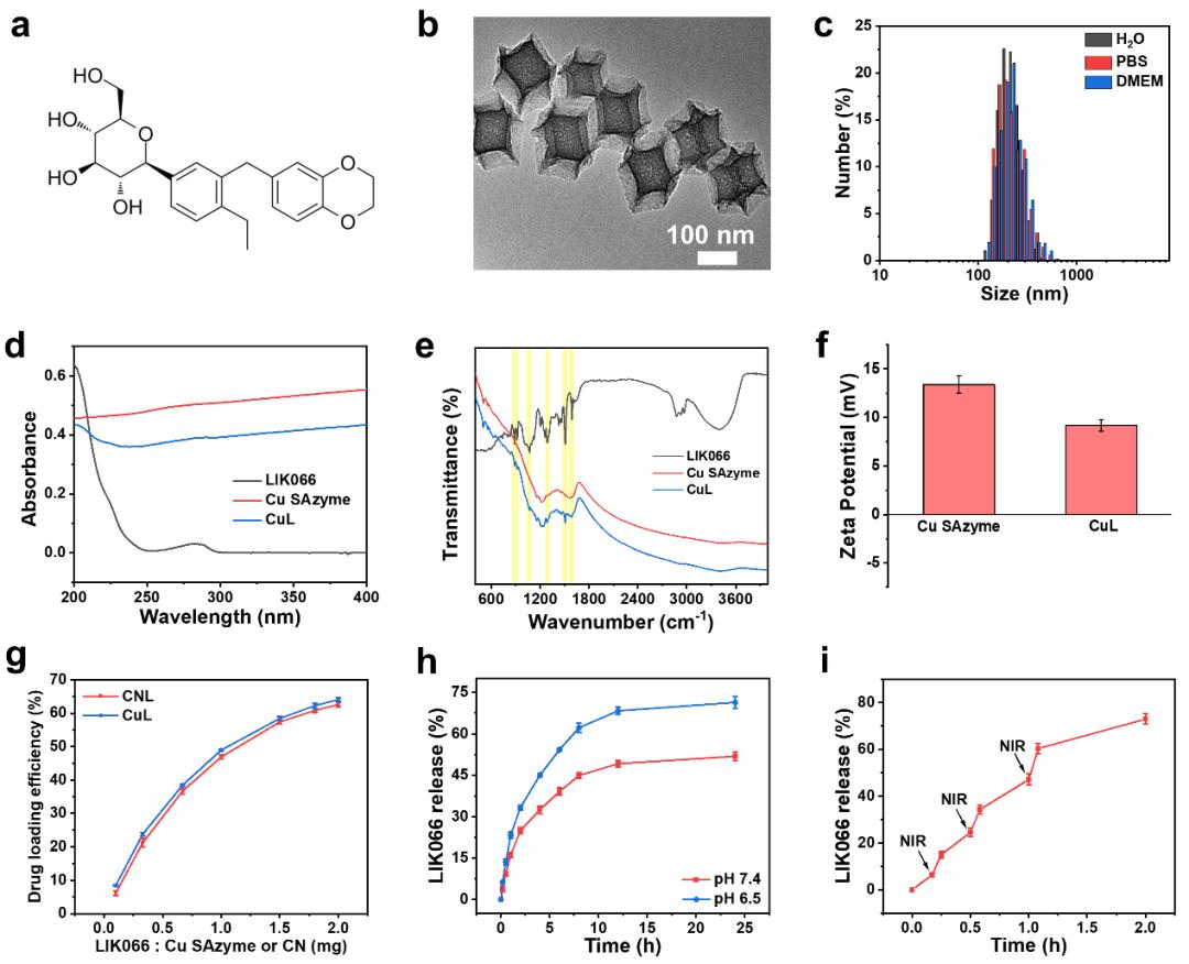 Angew:基于铜单原子纳米酶的细胞新陈代谢调控的高效温和光热治疗
