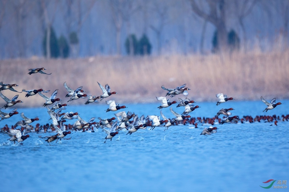 东经北纬地图高清图,图解全东北地图