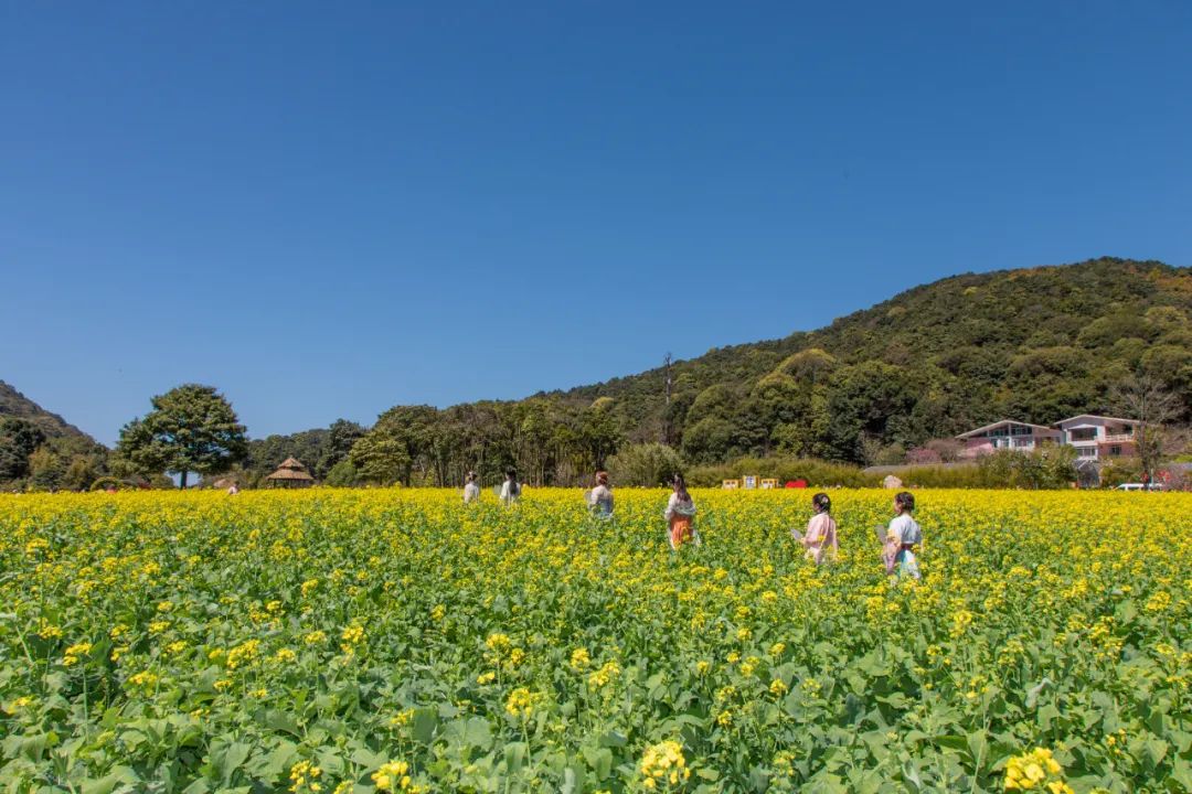 两人从化两天一夜游玩攻略,去从化玩的攻略