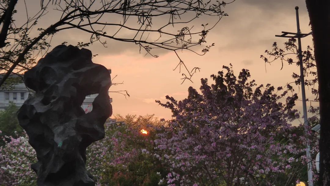 新手必备10个网站,9个适合学习的网站而且还免费