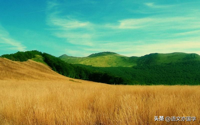 高考成语专项训练及答案,高考成语知识框架