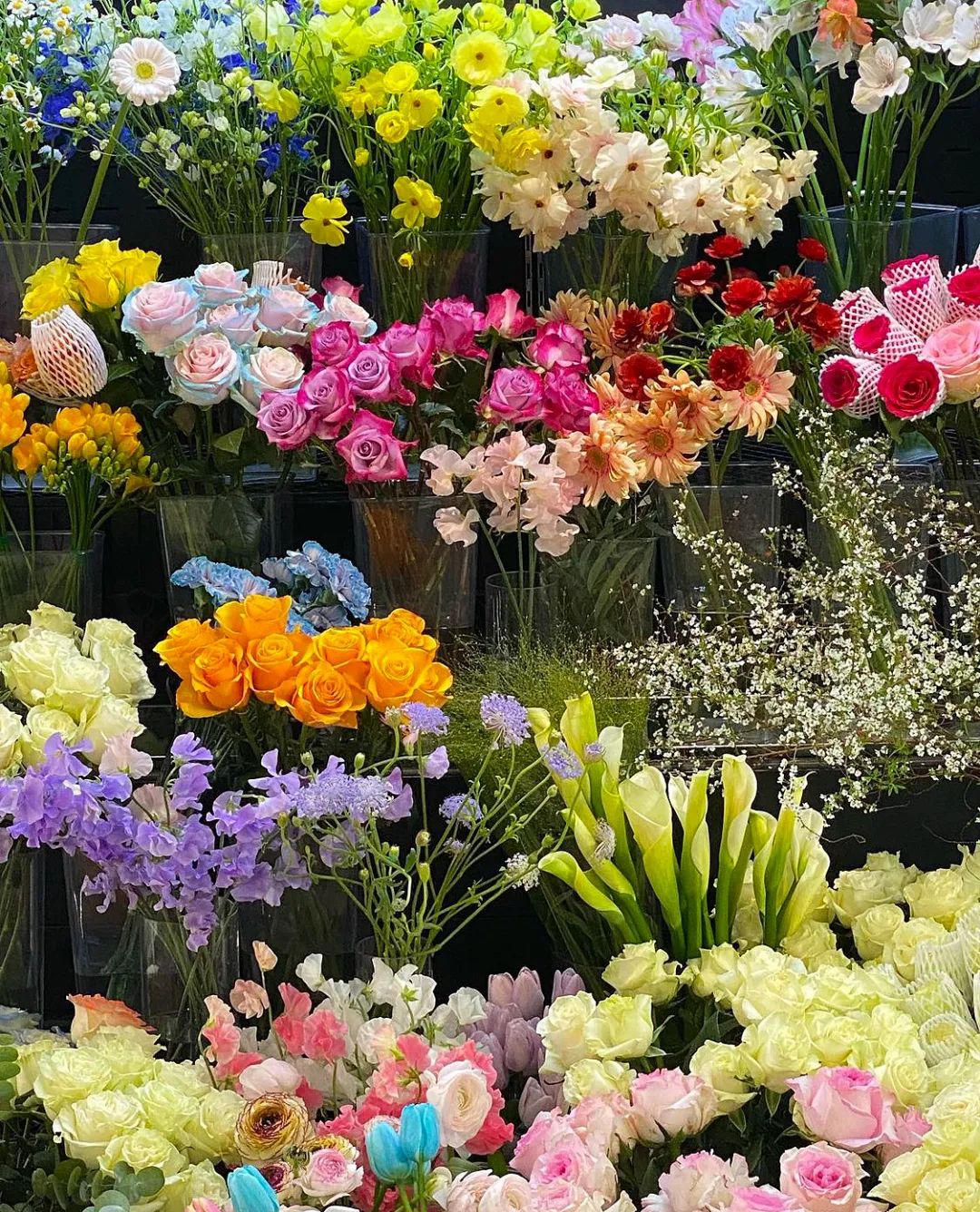 花店玫瑰养护正确方法,玫瑰养护方法延长花期