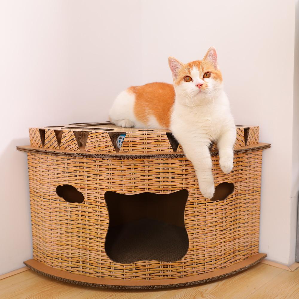 猫得了猫癣还会再得猫癣吗,猫癣是怎么形成的猫癣有什么症状