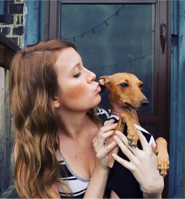 一只被抛弃的小狗逆袭变身超狗,一只被逆袭的中国狗狗