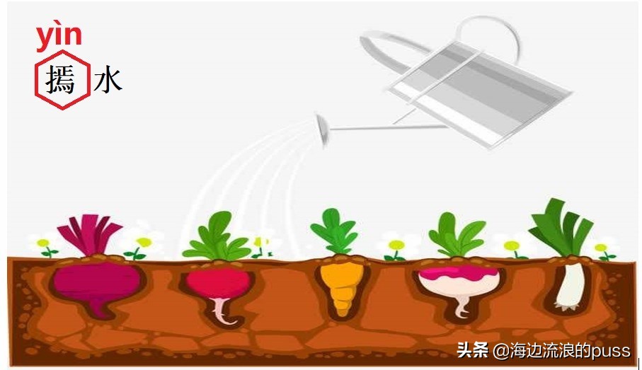 四川话里的方言字，看我细细为你道来（下）