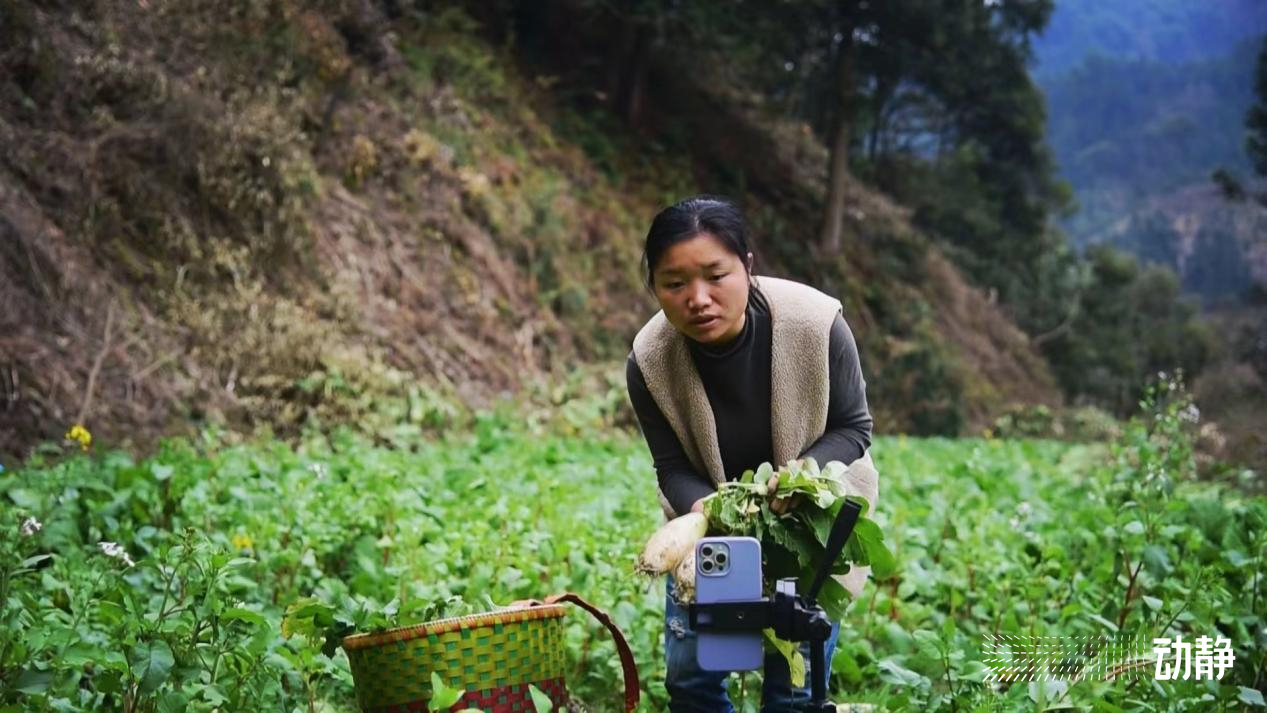 一万个镜头图片,一万的镜头和一千的镜头