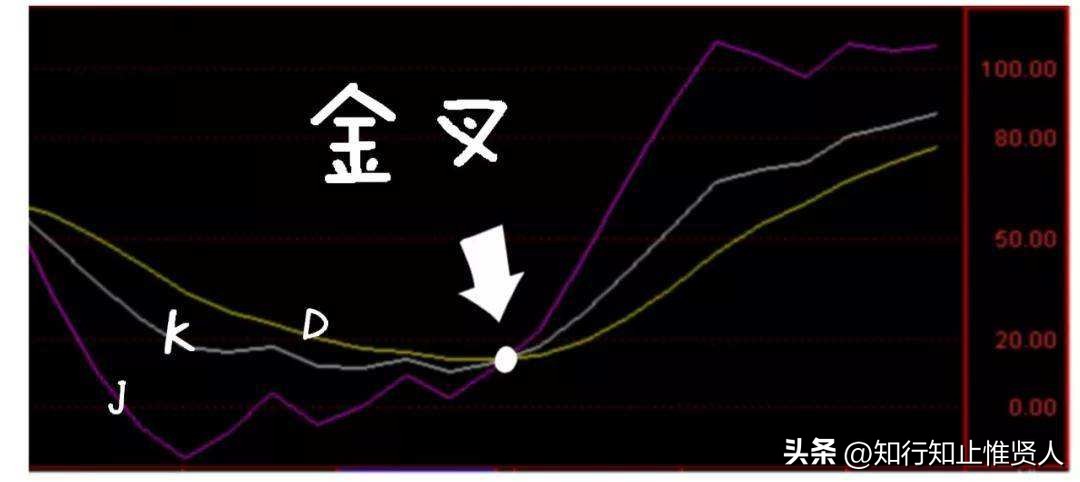 学到极致是什么意思,学到极致便是沧海一粟