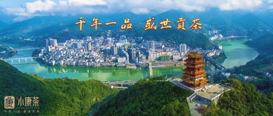 茶艺师为什么泡的茶好喝,茶艺师的小窍门让你的茶叶更好喝