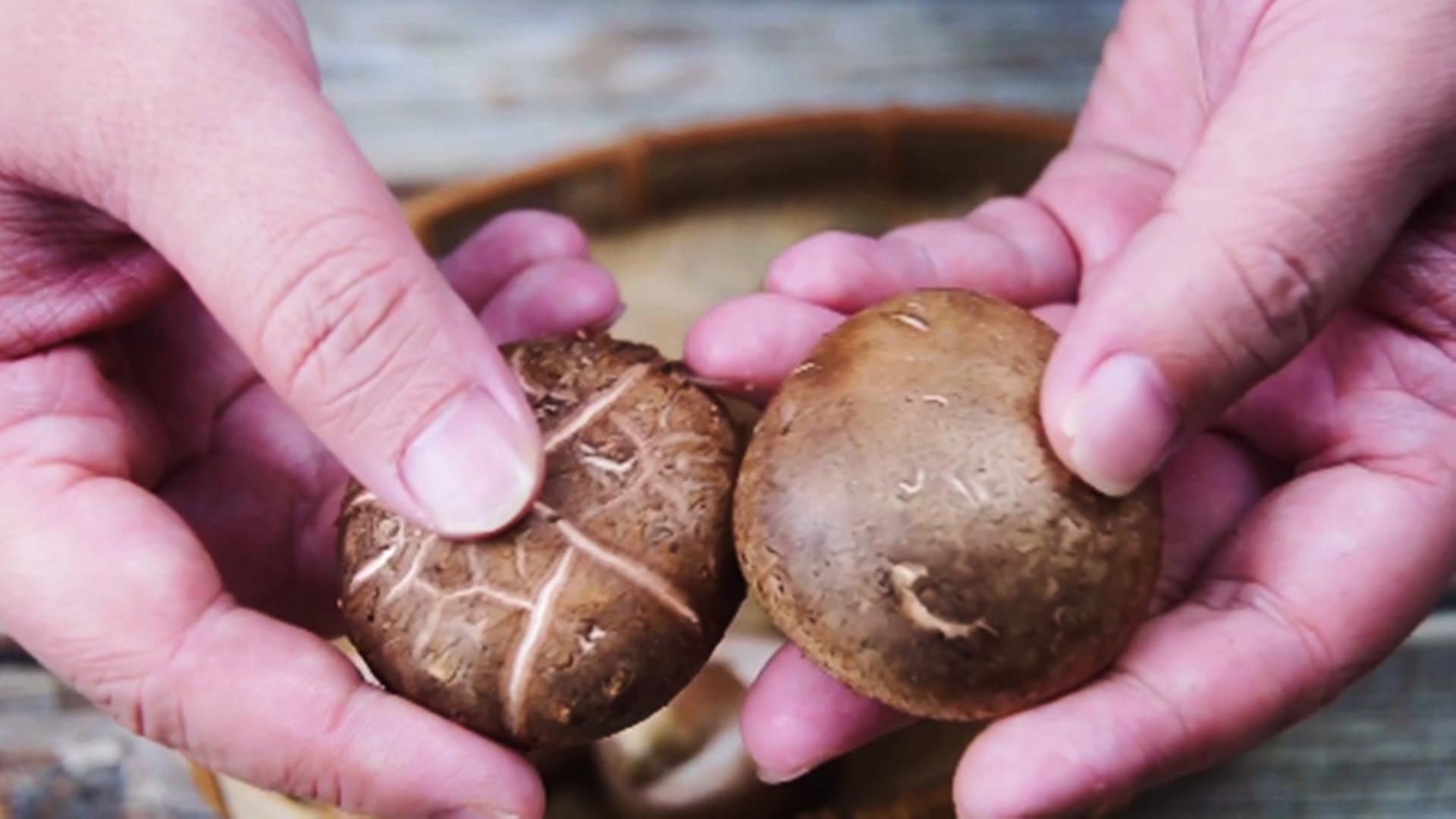 吃香菇到底要不要泡呢,吃香菇有什么讲究