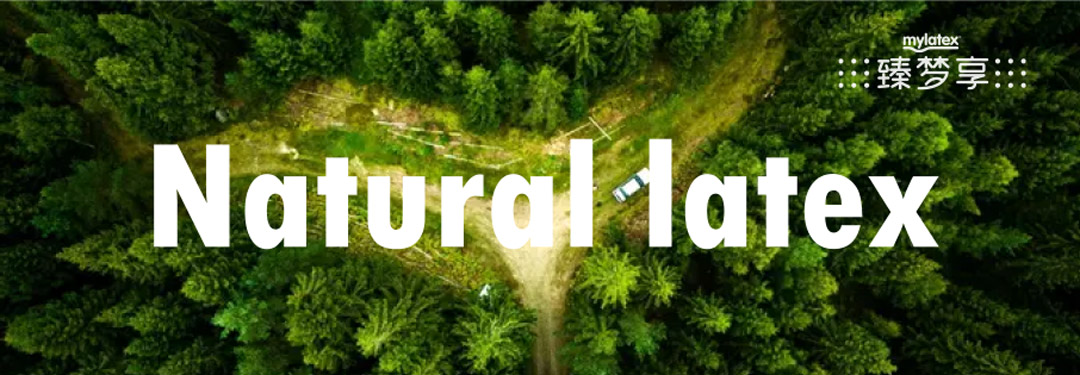 哪个国家的乳胶枕最好,哪国的乳胶产品质量最好