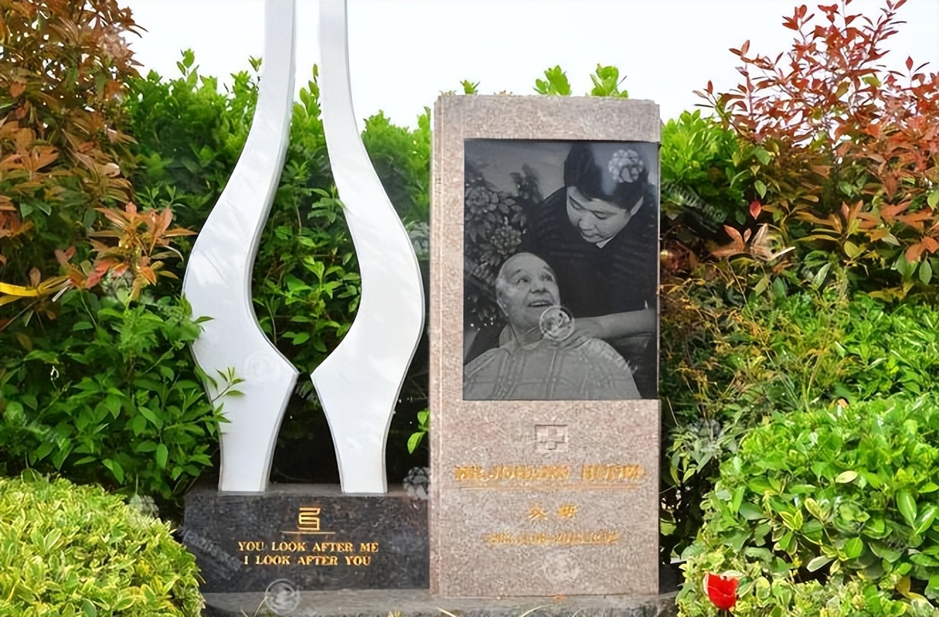 河南小伙报恩瑞士房东素材,中国小伙为英国房东养老