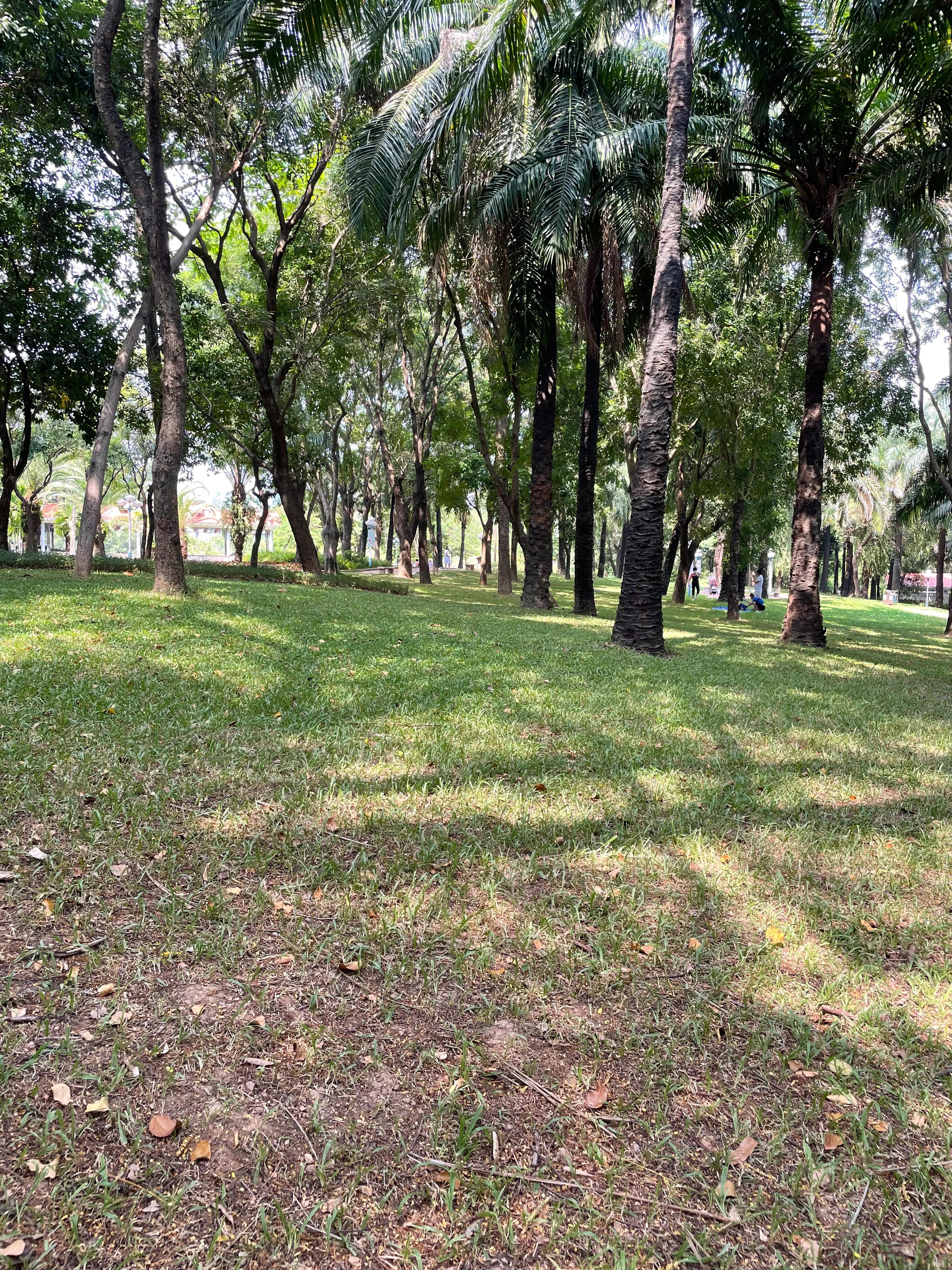 龙岗五联郊野公园,深圳市龙岗区双龙公园