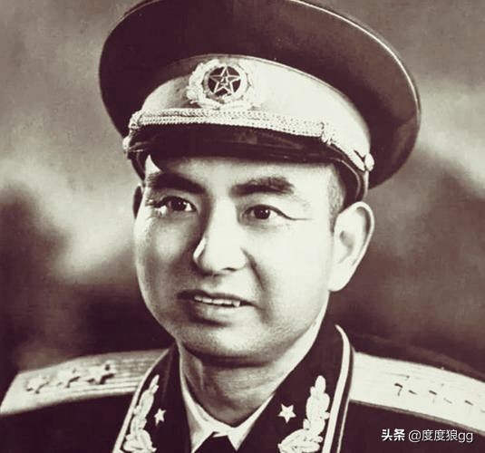 中野千里跃进大别山对全国影响,中野为什么要挺进大别山