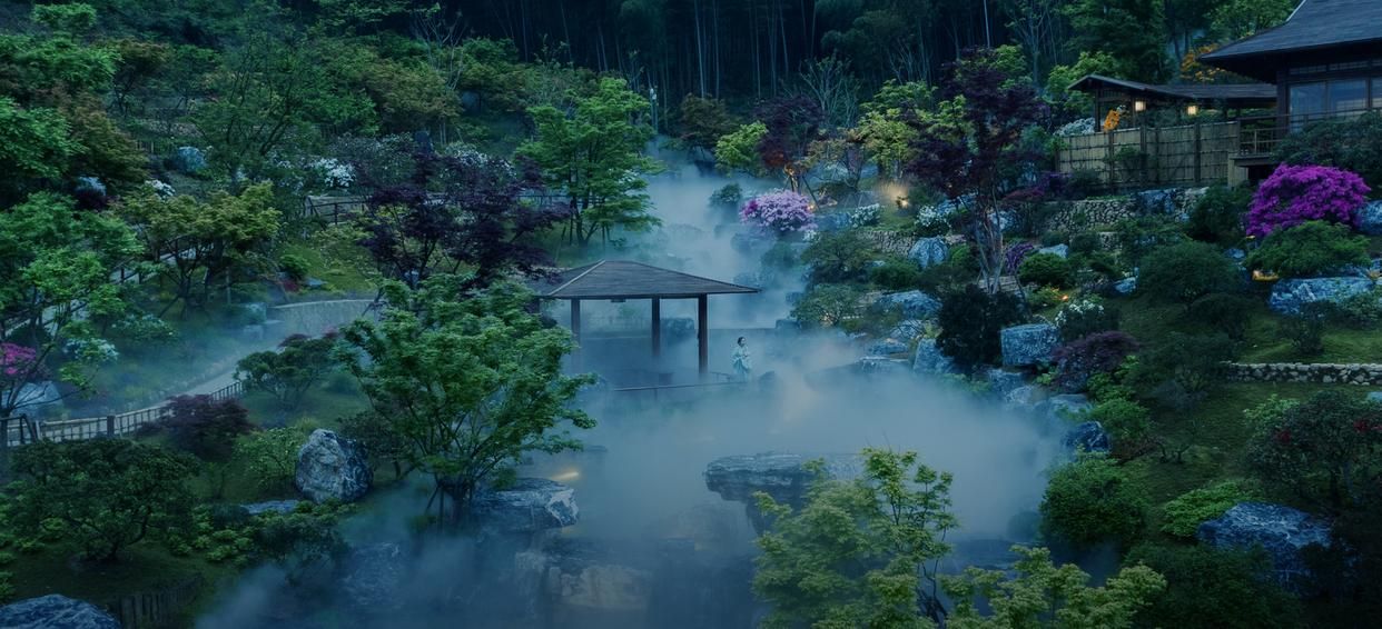 杭州网站建设从入门到精通,杭州网站建设制作软件哪家好