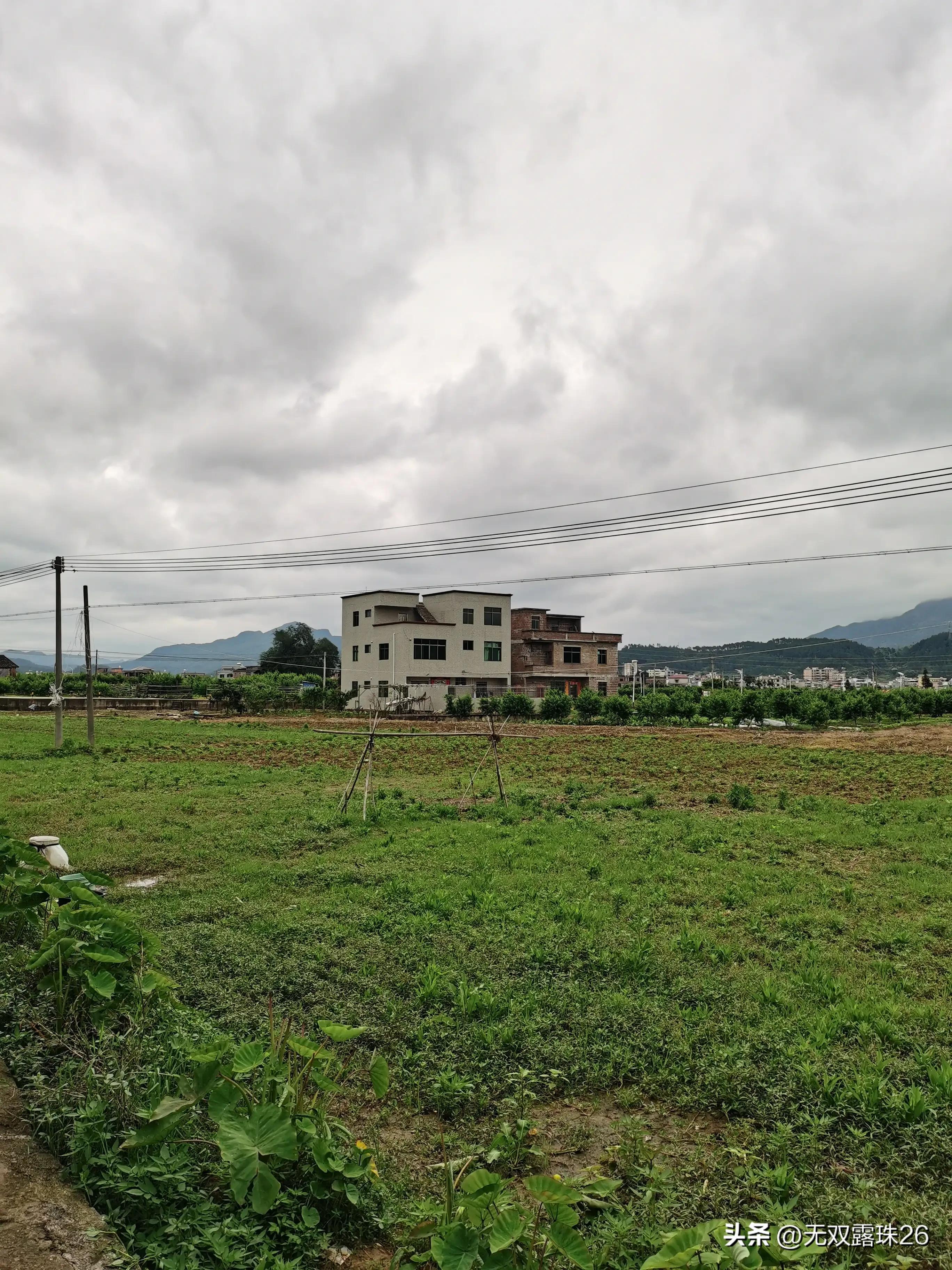 老人驾鹤西去一路走好,驾鹤西去一路走好图片
