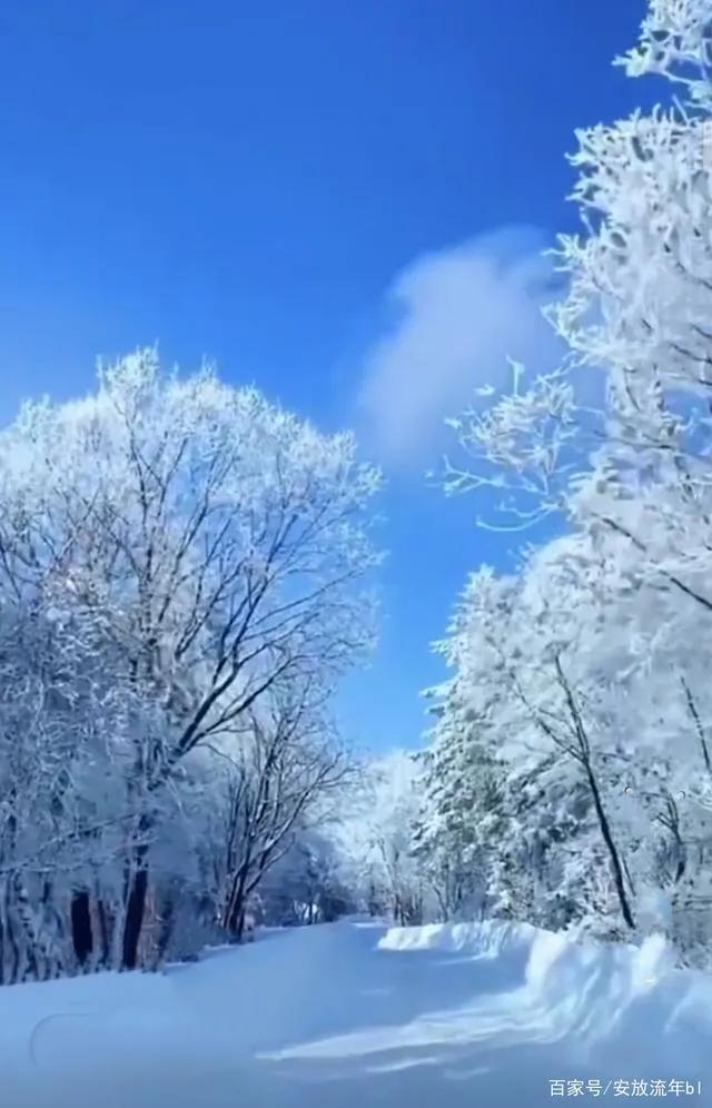 诗人笔下的雪合集,描写雪的绝美诗句