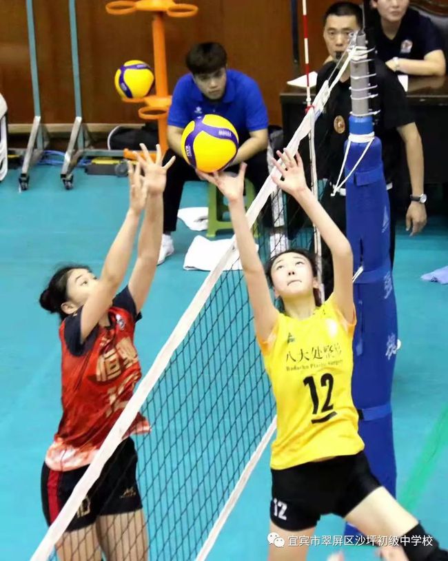 五育并举中学,五育并举硕果累累