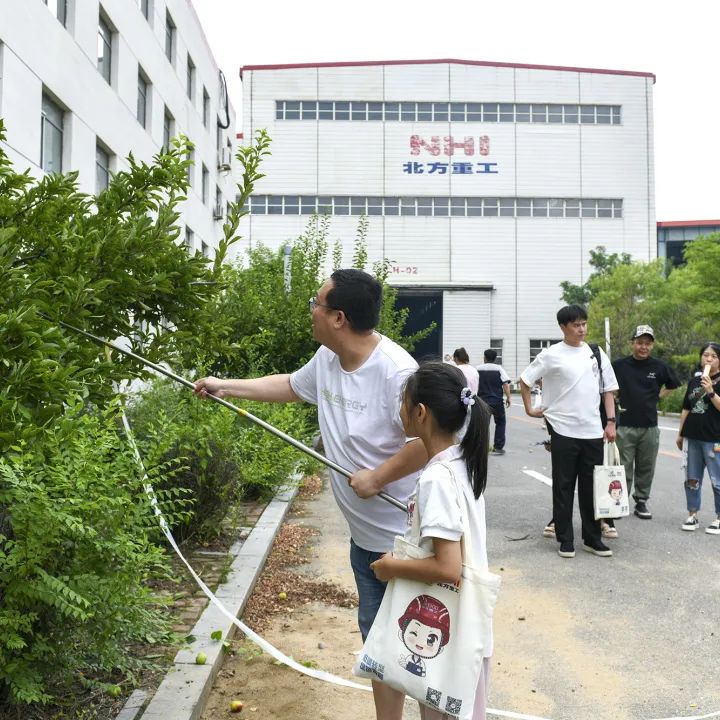 全国生态环境日主题,全国生态日绿水青山就是金山银山