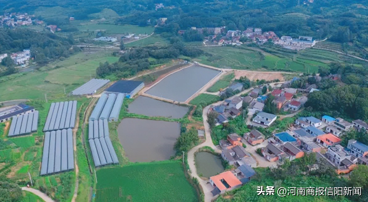 哈密瓜沉浸式采摘,信阳生态采摘休闲农业观光