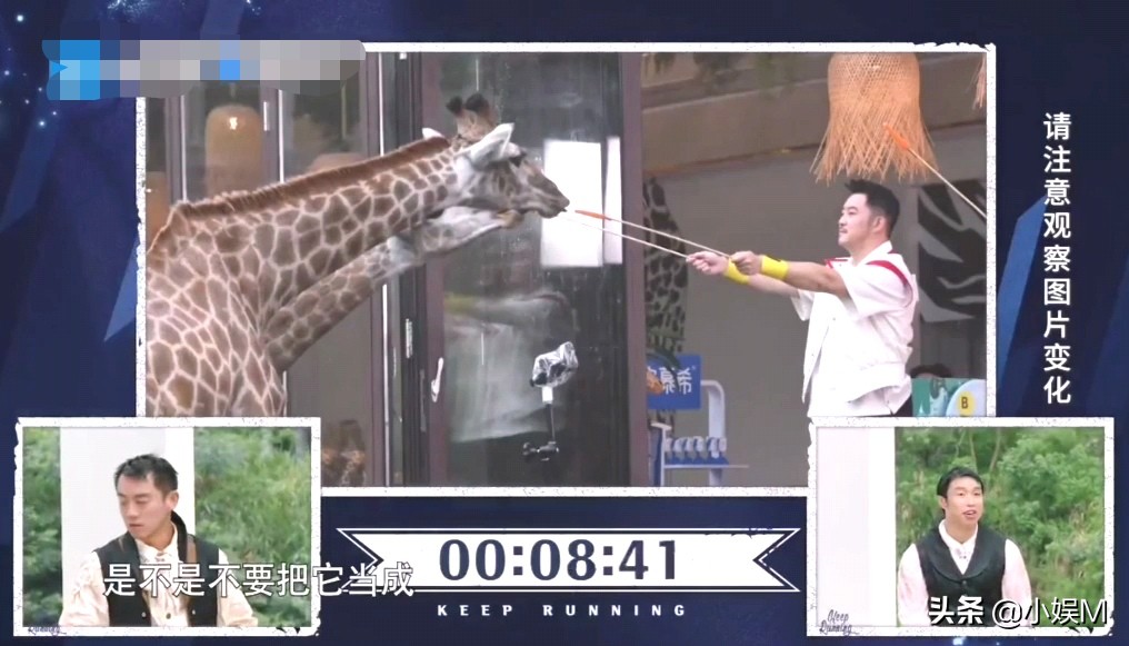 游戏无聊，嘉宾“花里胡哨”挽救，撕名牌也变得不精彩了