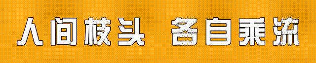 伊朗的地域面积，与波斯语国家关系研究结果如何？对未来的展望