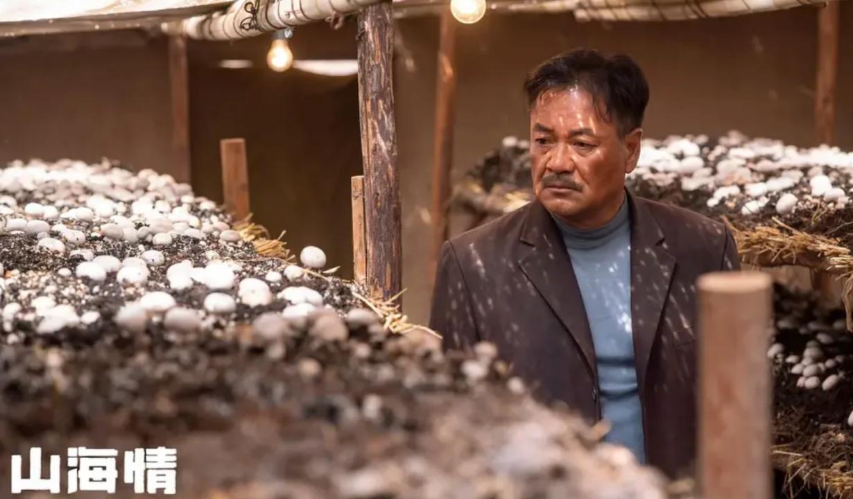 县委大院幕后故事王骁,王骁任程伟