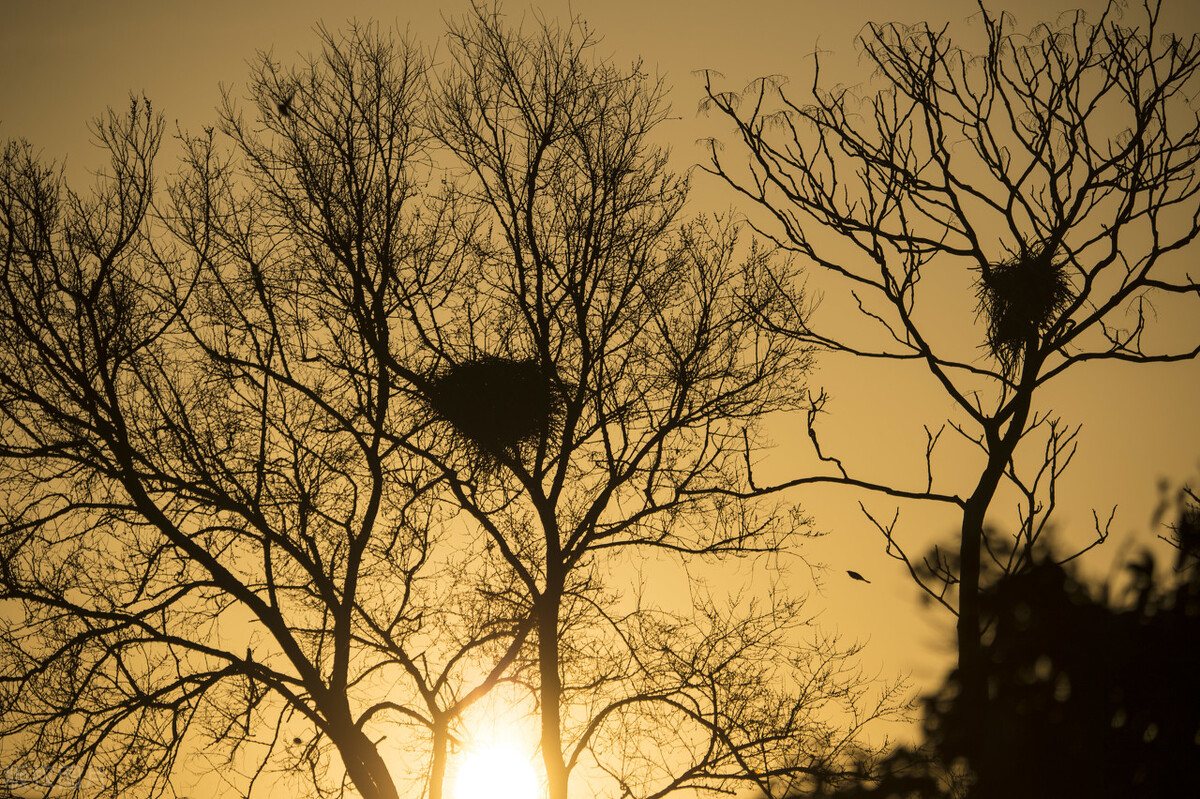 中医前列腺炎秘方验方,中医治疗前列腺炎医案分析