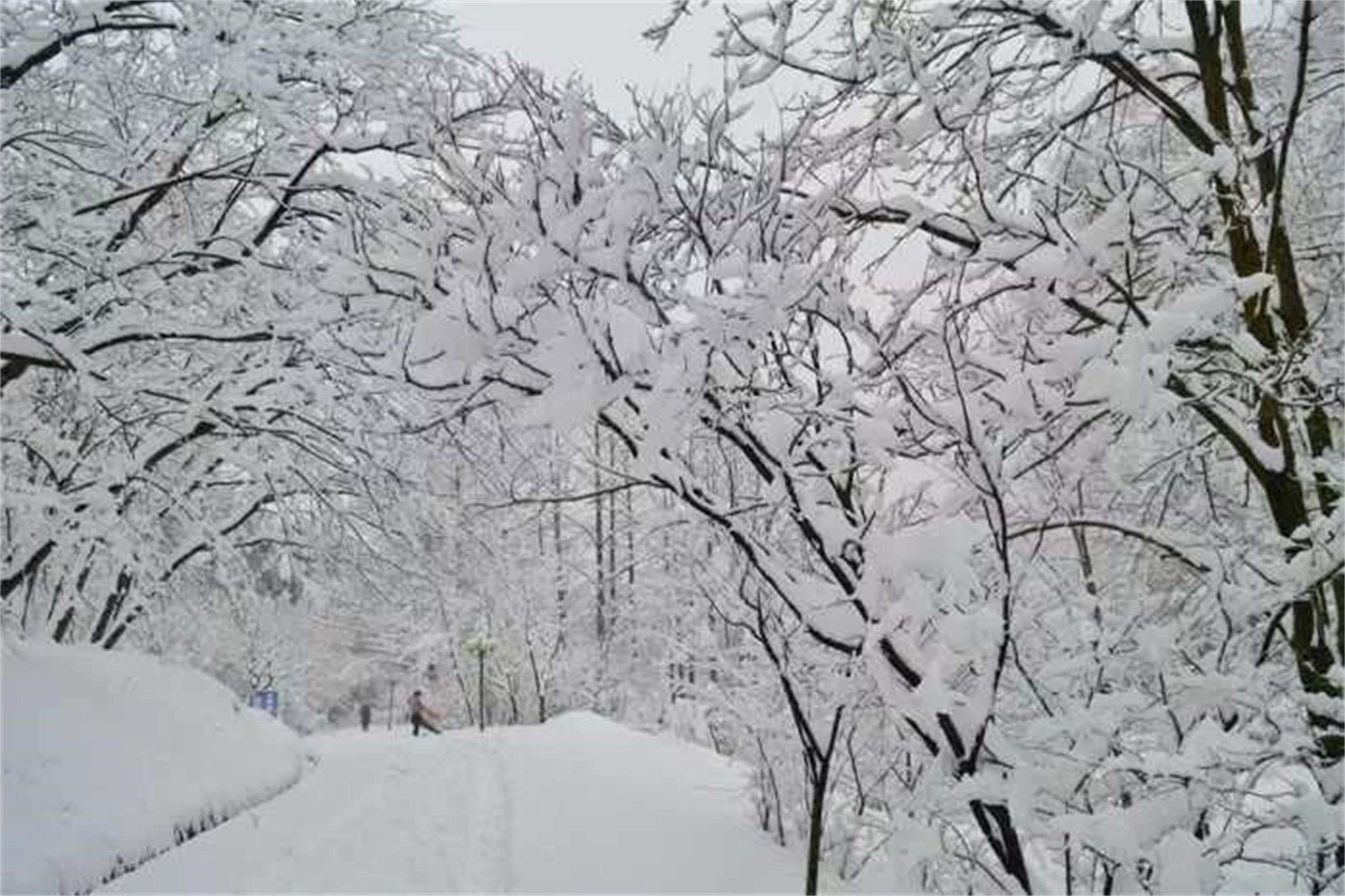 2023年标准版天气预报,天气预报2023年最新版