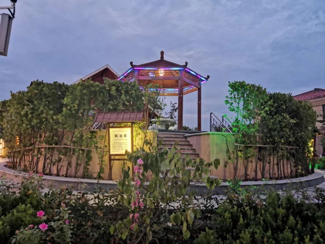 冬天一碗汤暖心又暖胃,初冬的幸福感