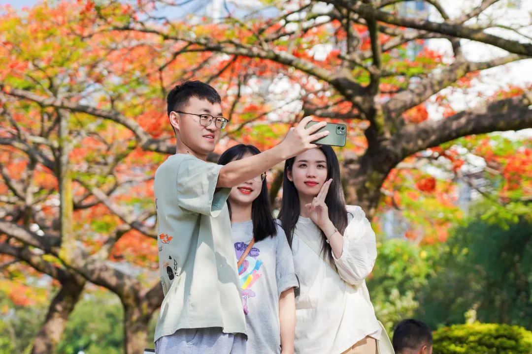 “1314”“520”！“一生一世，我爱你！”