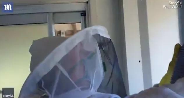 澳洲夫妇家墙壁突然莫名“渗血”!两人鼓起勇气拆开墙