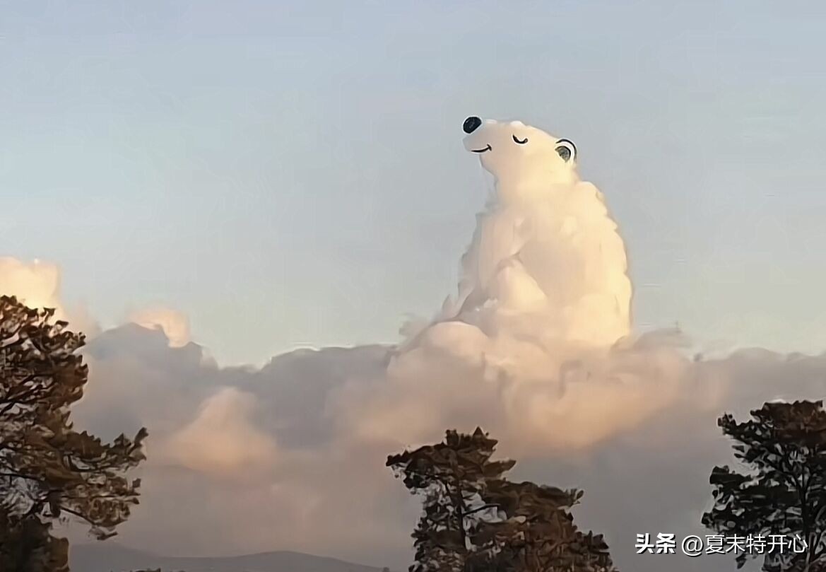 例会分享搞笑小故事及感悟,讲个幽默的小故事给大家听