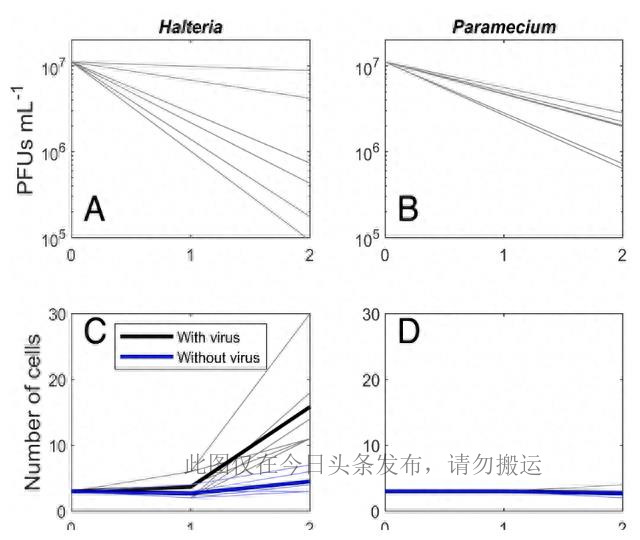 科学家找到专吃病毒生物,发现病毒的科学家是谁