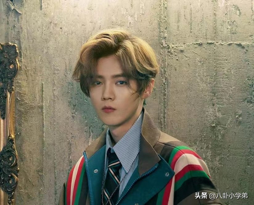 清秀脱俗的男生,清秀的男明星