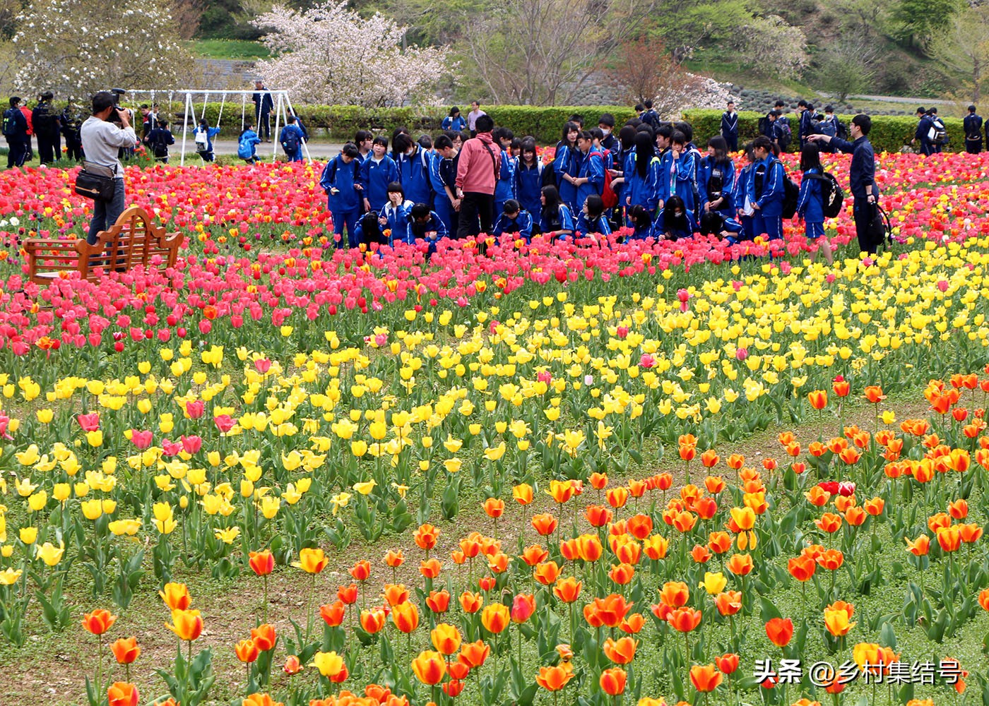 【推荐】日本馆森方舟牧场：让农业变成年轻人梦想的魅力产业