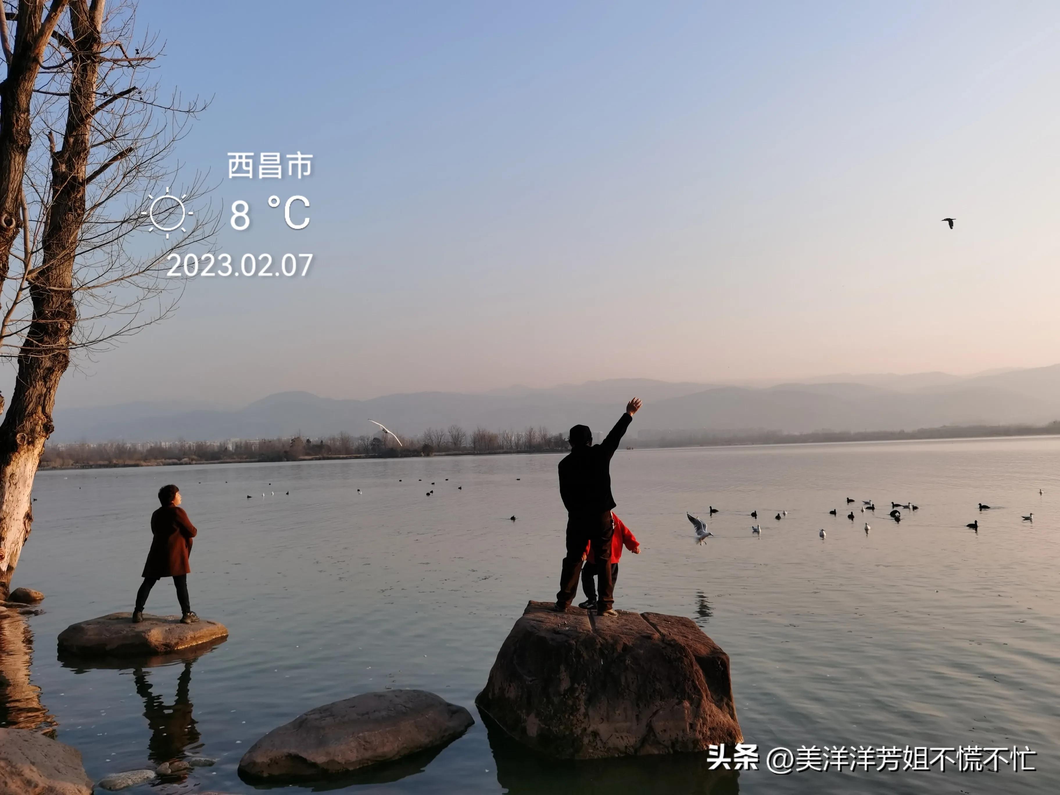 西昌邛海什么时候有海鸥,冬季去西昌邛海喂海鸥