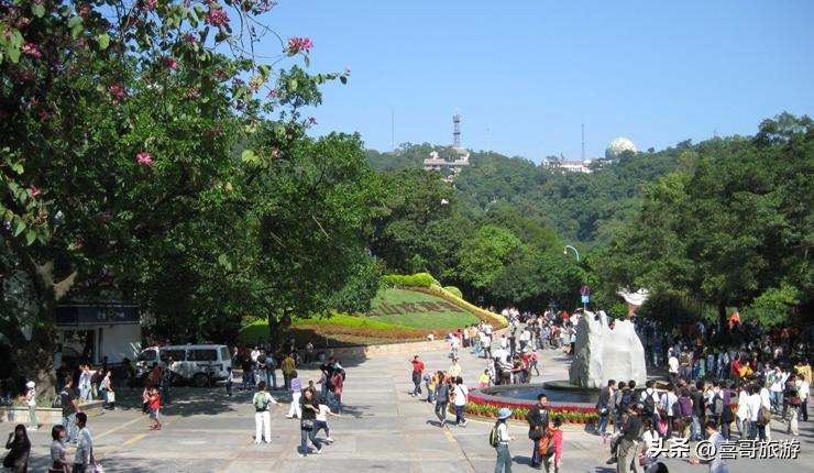 河南白云山景区旅游攻略,白云山旅游攻略梅花谷