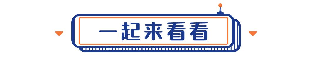 守好钱袋子这份手册识破养老诈骗,筑牢防骗安全网守住养老钱袋子