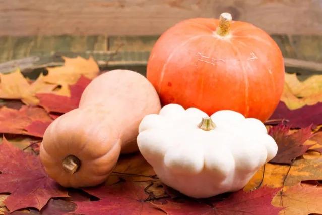 富含天然叶酸的食材找到了,这5种食材天然叶酸高