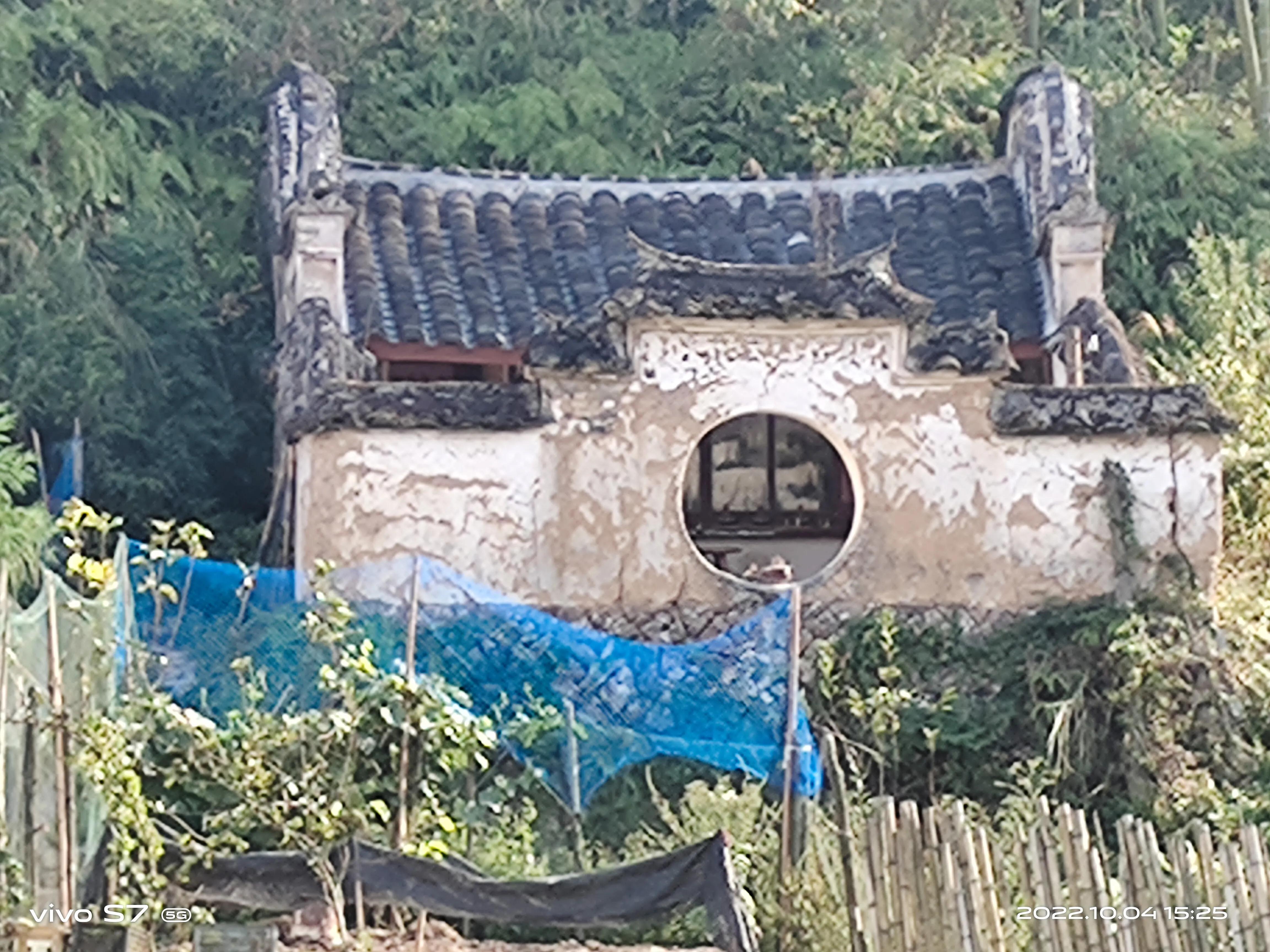 泰顺三杯香茶官网,泰顺县三杯香茶产地