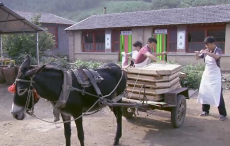 燕窝当水喝打60万美容针，初中文凭的李宝华，背后的30亿有多疯狂