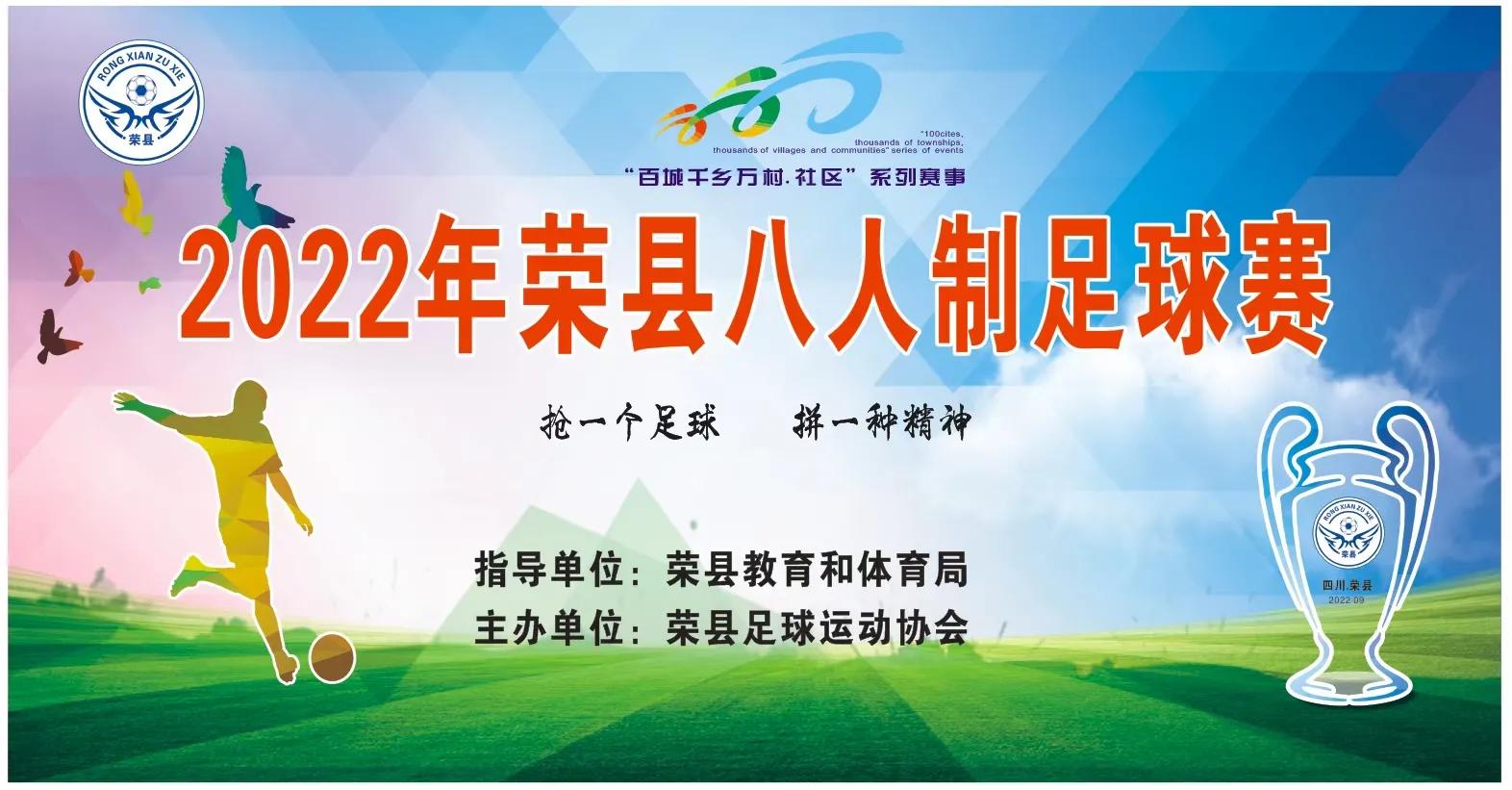 驰骋绿茵场足球争霸,驰骋绿茵赛场