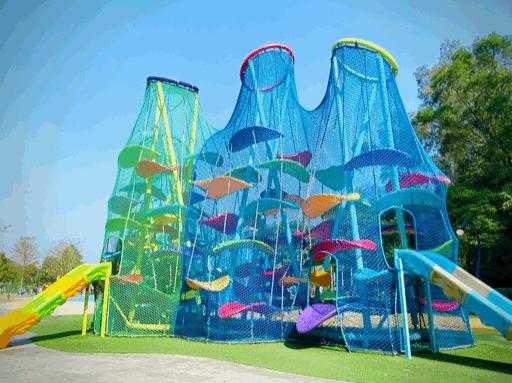 长期不运动大脑细胞,长期不运动对大脑有危害吗