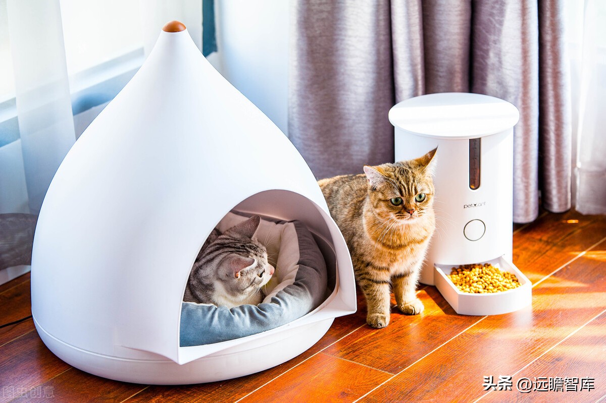 依依股份是宠物用品的龙头企业 (宠物一次性卫生护理用品上市公司)