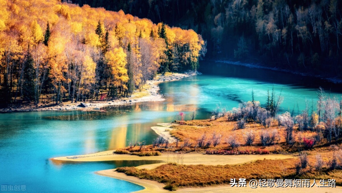 学会三种技能避免40岁后失业,40到50岁女人失业做点什么好