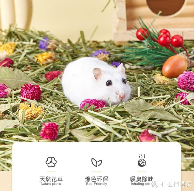 购物车借你抄!618都往购物车里放了什么